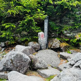丸山山頂へ