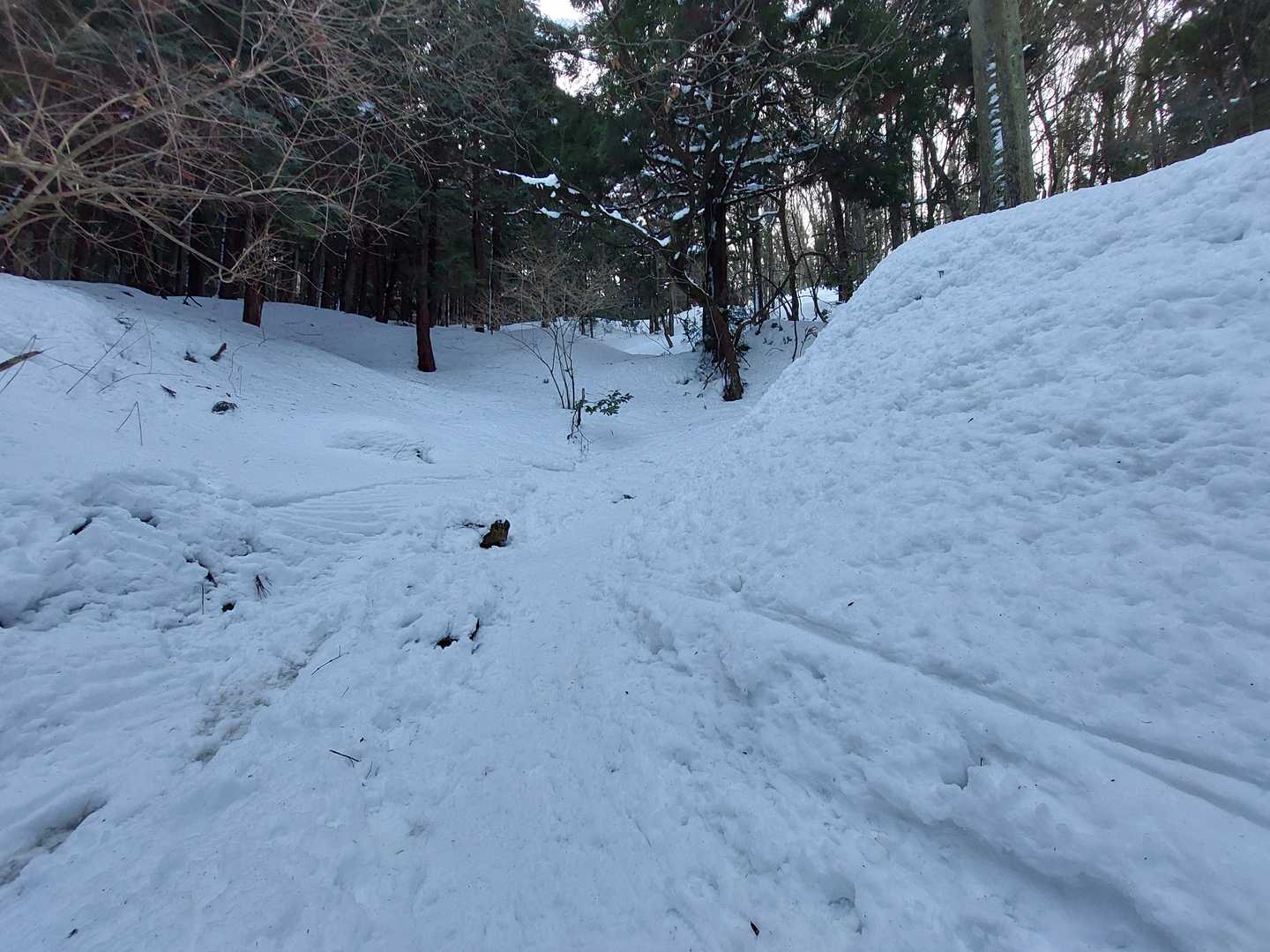 1合目までのこの歩く時間、なんかダラダラきつくていつも憂鬱。。。
きょうは泥んこにならないからマシかな。