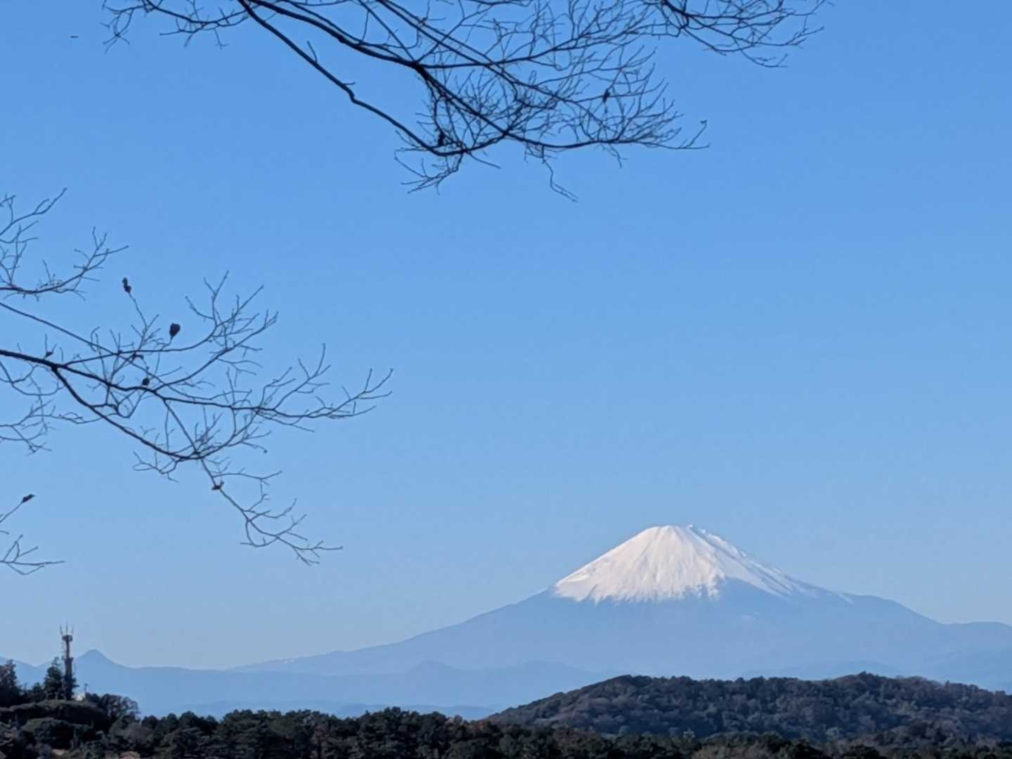 富士山もくっきり