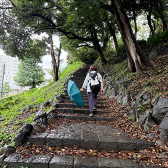 階段歩き🚶‍♀️