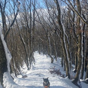 アレ？さっきまで調子よかったのに。
イヤイヤ病で足が止まる