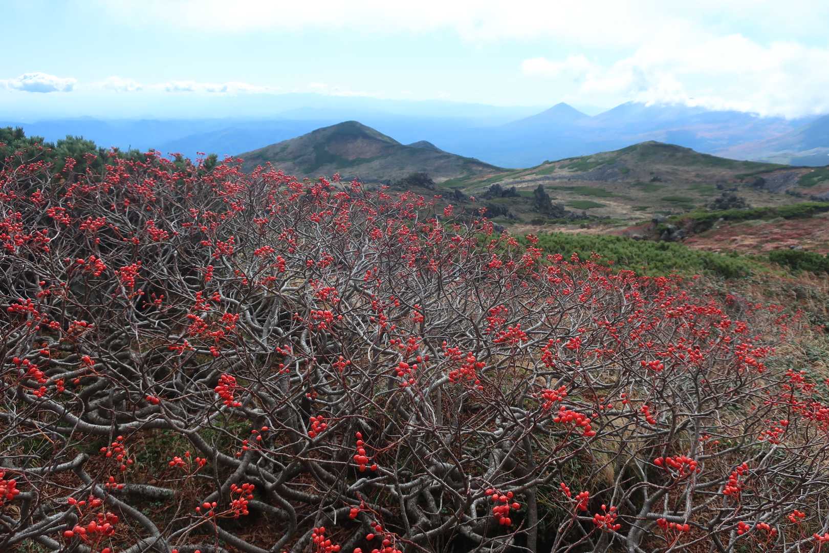 奥に富良野岳～十勝連峰
縦走もしてみたい