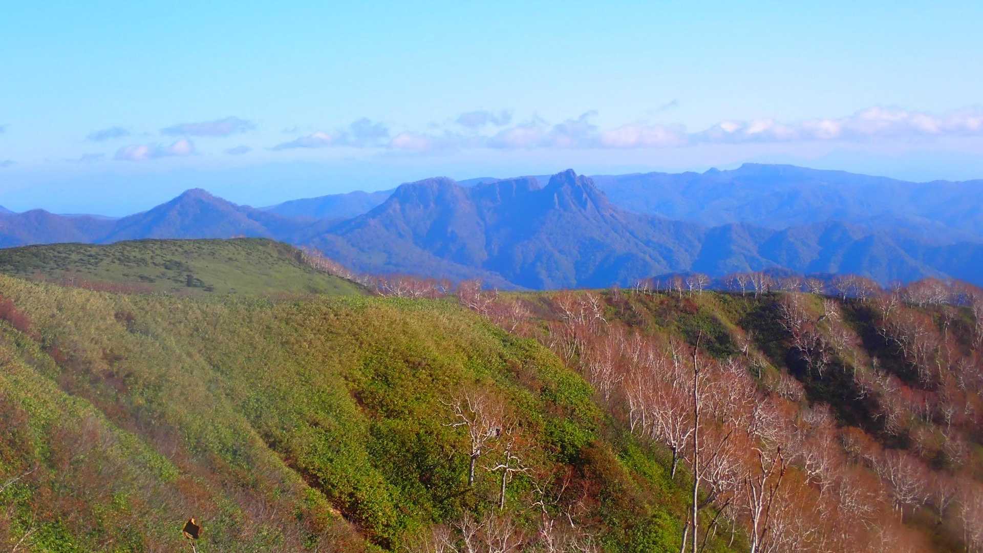 振り返って定天さま