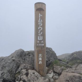 山頂！真っ白で寒いので写真撮って下山。