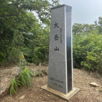 ものすごい人。御嶽からのピストンの方がかなり多かったです。