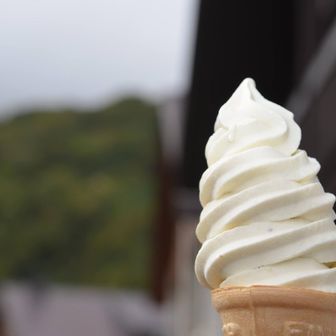 サルナシソフト。甘酸っぱさが疲れた体に沁みます。