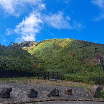 八合目登山口。もう、樹林帯抜ける？