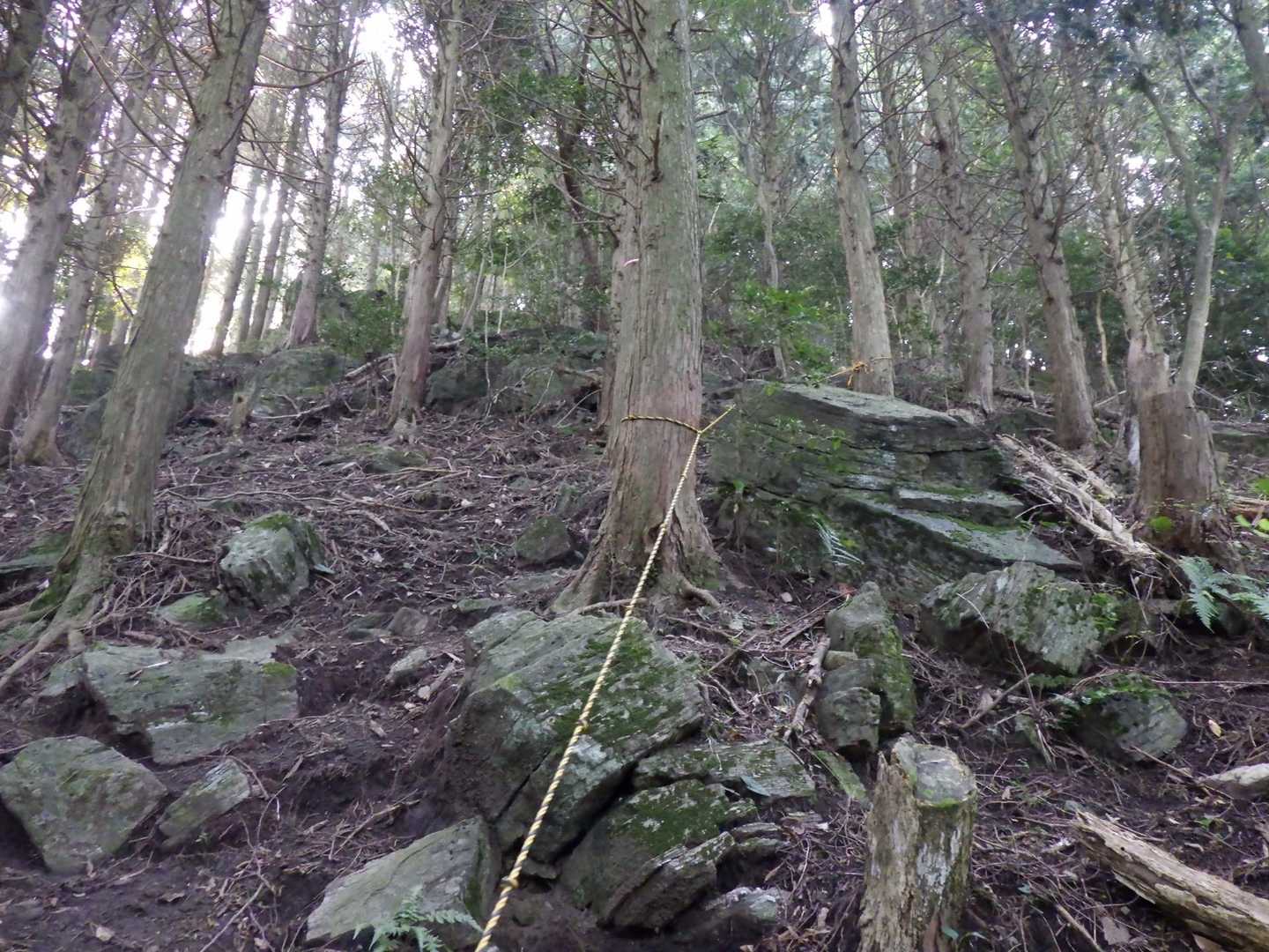 薬師の頭への 登り
途中、ハチ退治に向かう 方々に出会いました。
私のことを伝えたら、たぶん、オオスズメバチだろうと おっしゃってました。
ステロイドの軟膏を貸していただきました😊
ありがとうございました。