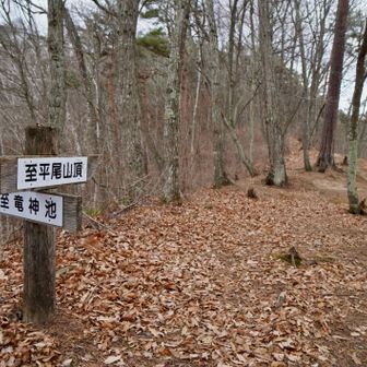 今回は周回コース。
帰りは、左の竜神池から戻ってきます