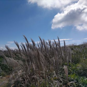 🌾もい感じに
