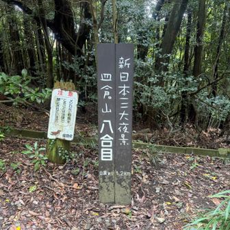 あと1.2キロの看板に励まされます✨