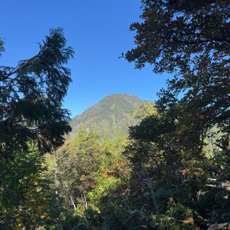 六弥勒からの高妻山😍

逢いたかった〜Yes❣️君に〜〜〜☝️

カッコイイ👏