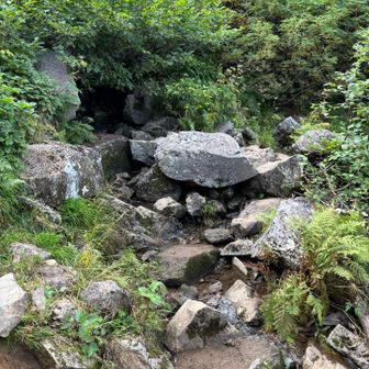 登山道
