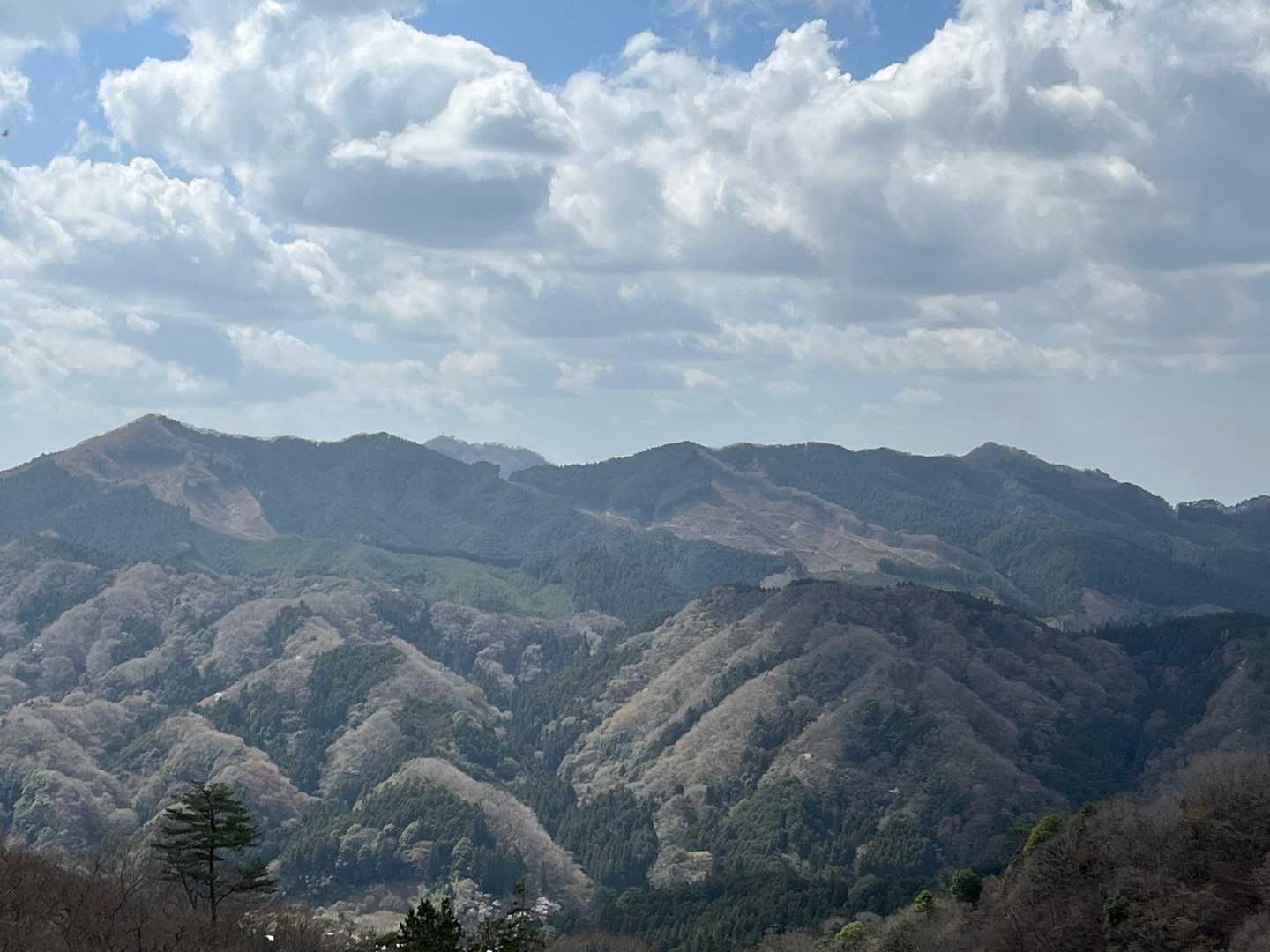 高崎山　　　　男体山　　　　　　白木山