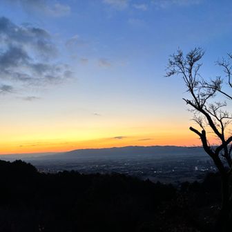 予報では曇りだったけど
今年も期待大🙆‍♀️
