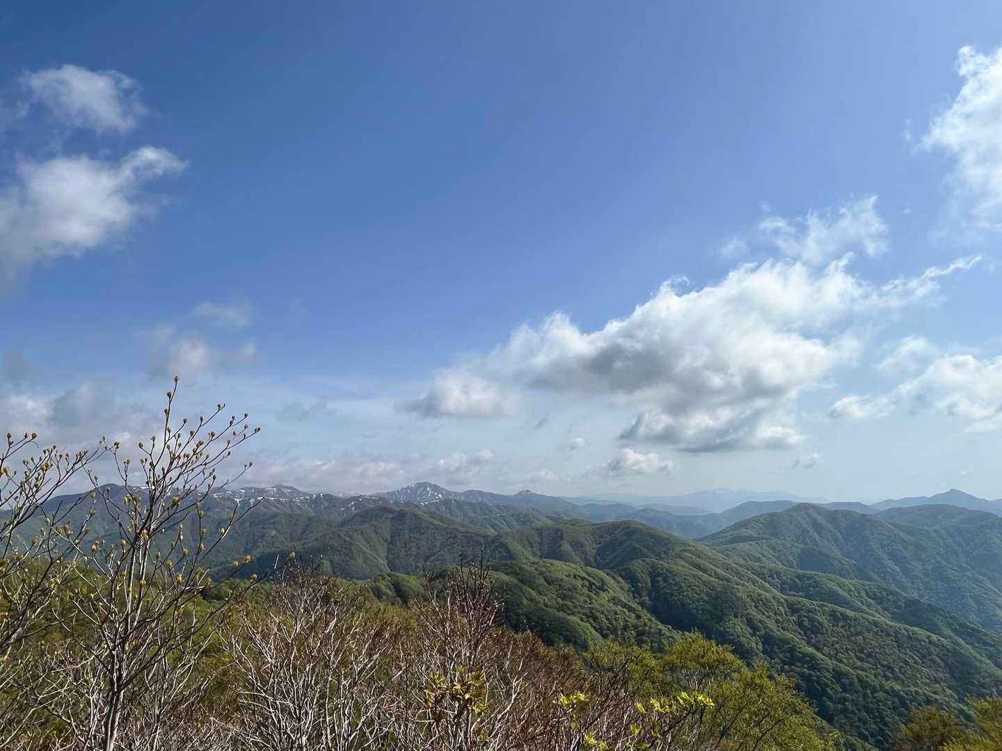 🦓の山