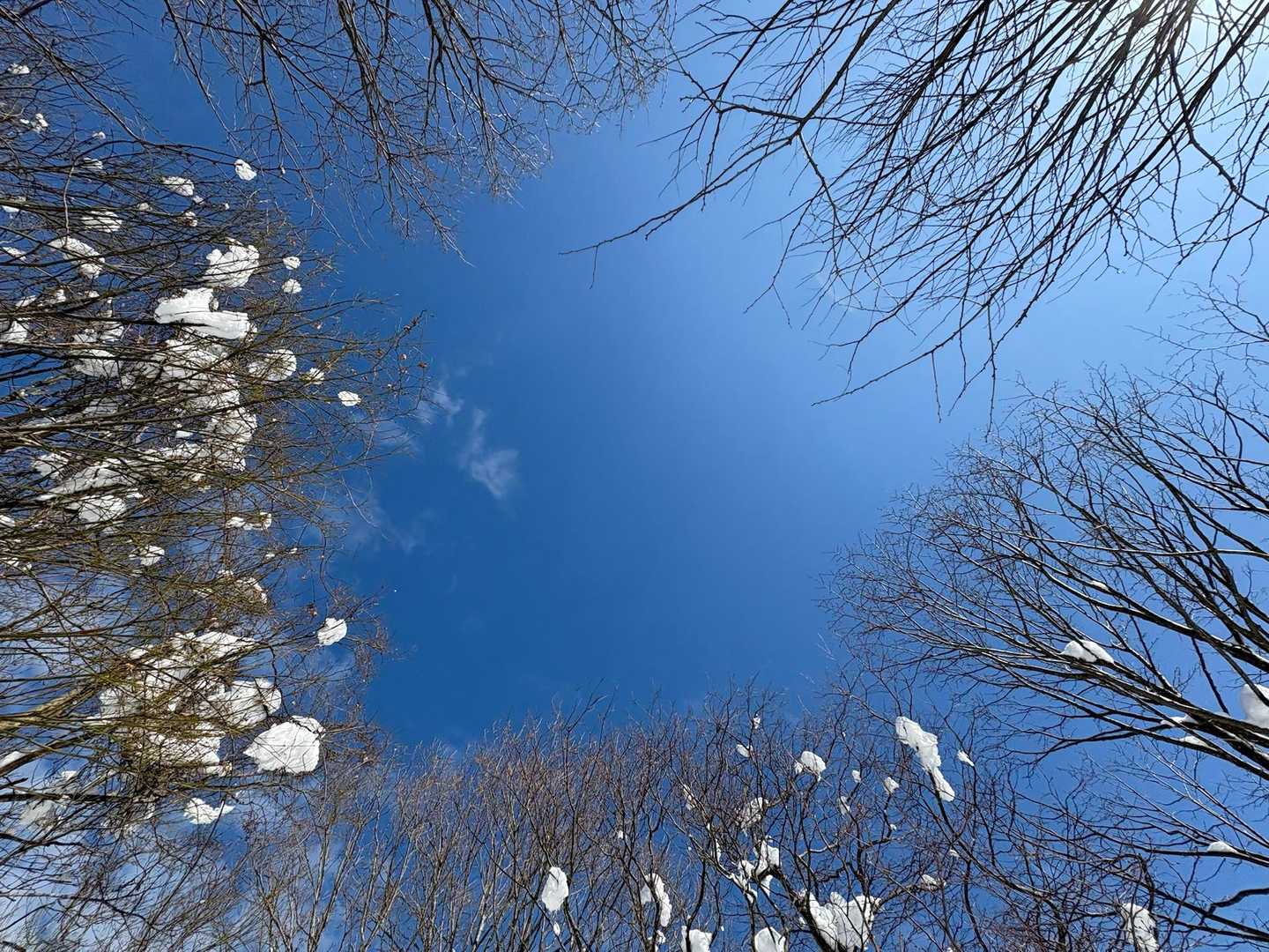 戸室山 往復コースの写真