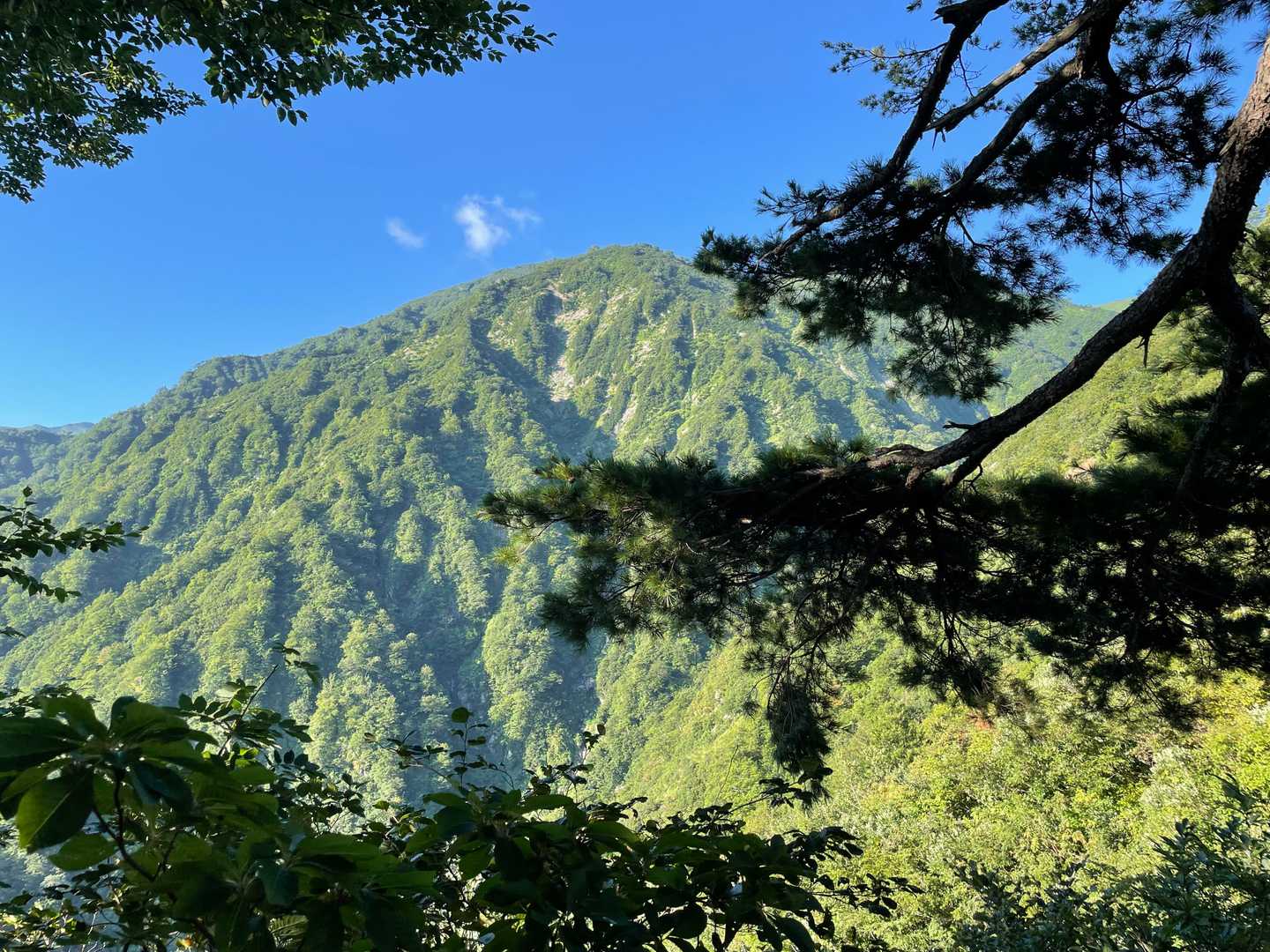 天狗平コース登山口-北股岳-門内岳-胎内山-地神山-丸森峰 周回コースの写真