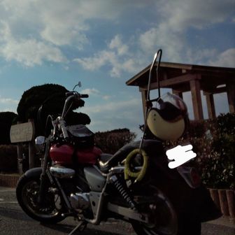 ナイトハイカー