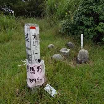 奥馬野は東海自然歩道から5m位登ったかな？