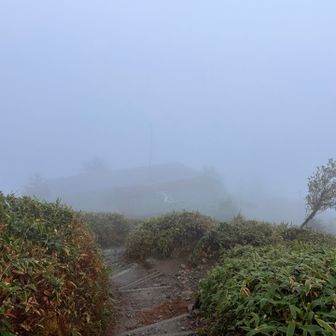 慎重に下ります