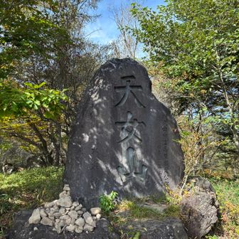 天女山は駐車場から100mほど