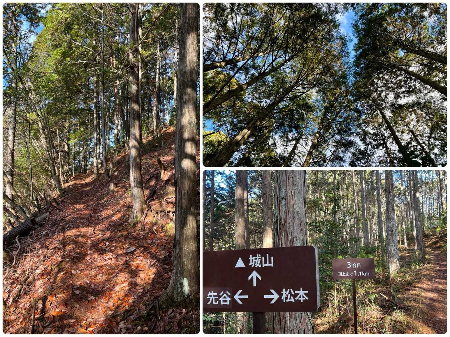 城山に向かう快適な道のり
