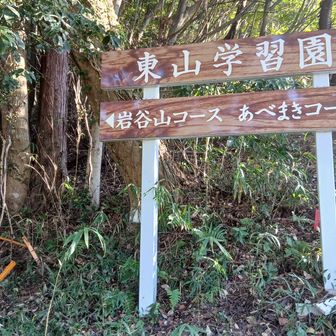 車道からだと、この看板もちょっと覗き込まないと見づらい。中学校のプール側からのルートで良い。