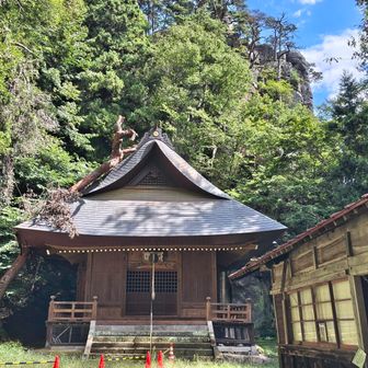 新しい🌳倒木があり、
そ～っとお詣りする🙏