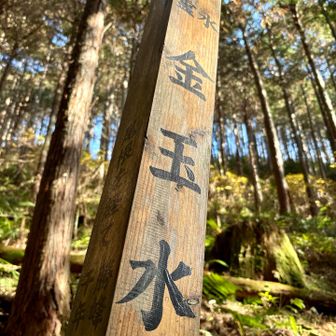 🫵ババ〜ンッ！！

【見た目】はおばさん
【頭脳】はこども(8歳)
【ココロ】は思春期真っ只中の🧑‍🎓

息子の撮影枚数→1枚
　母の撮影枚数→10枚以上💦

息子よ...
こんな お袋に 付き合ってくれて ありがとう...