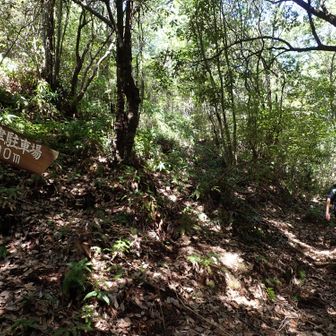 深津の登山口までワープ～😜　でも下道歩きましたよ～

登り返して、両足完成✨