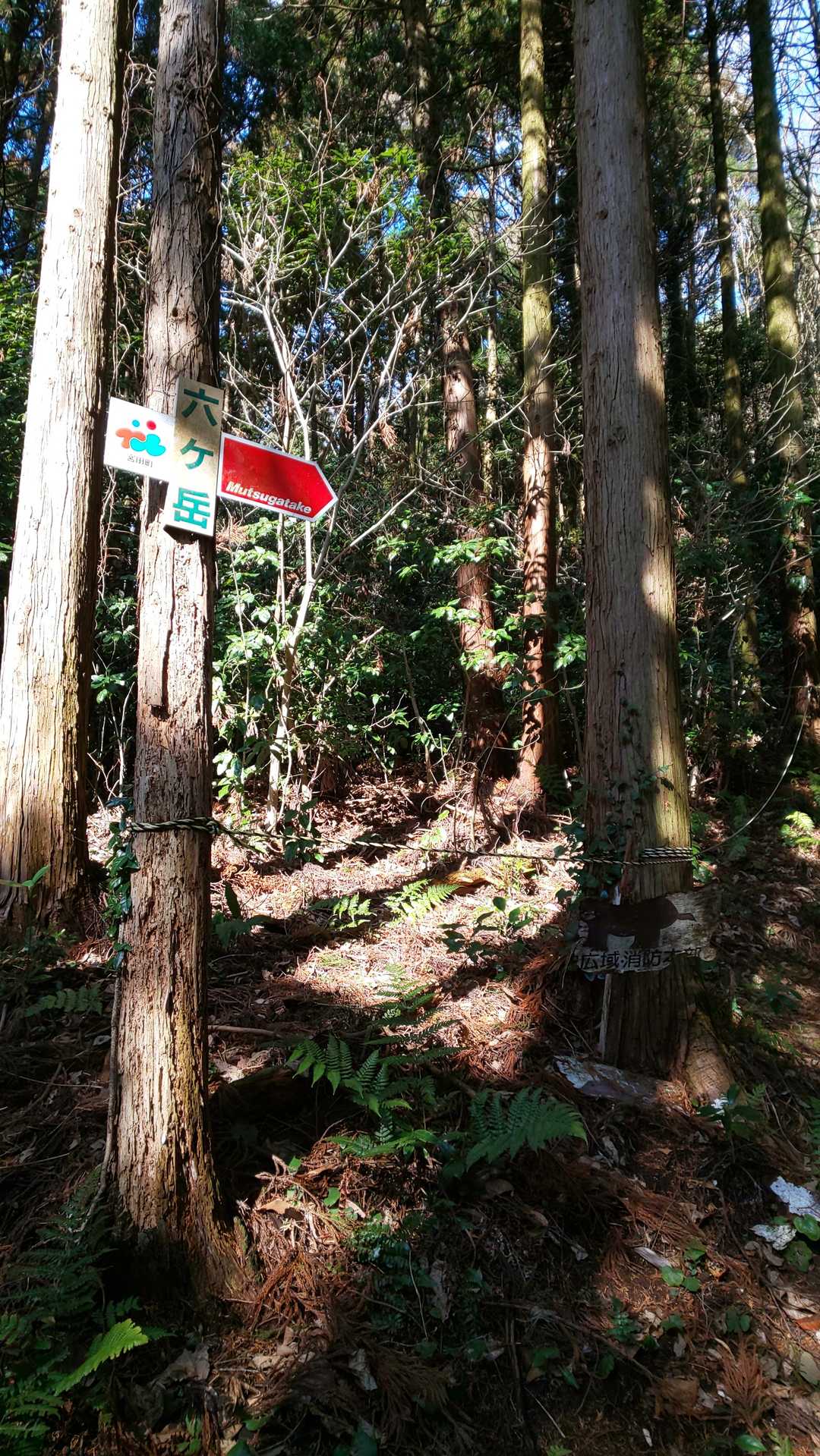 この看板のお陰でスムーズに進めます🤗