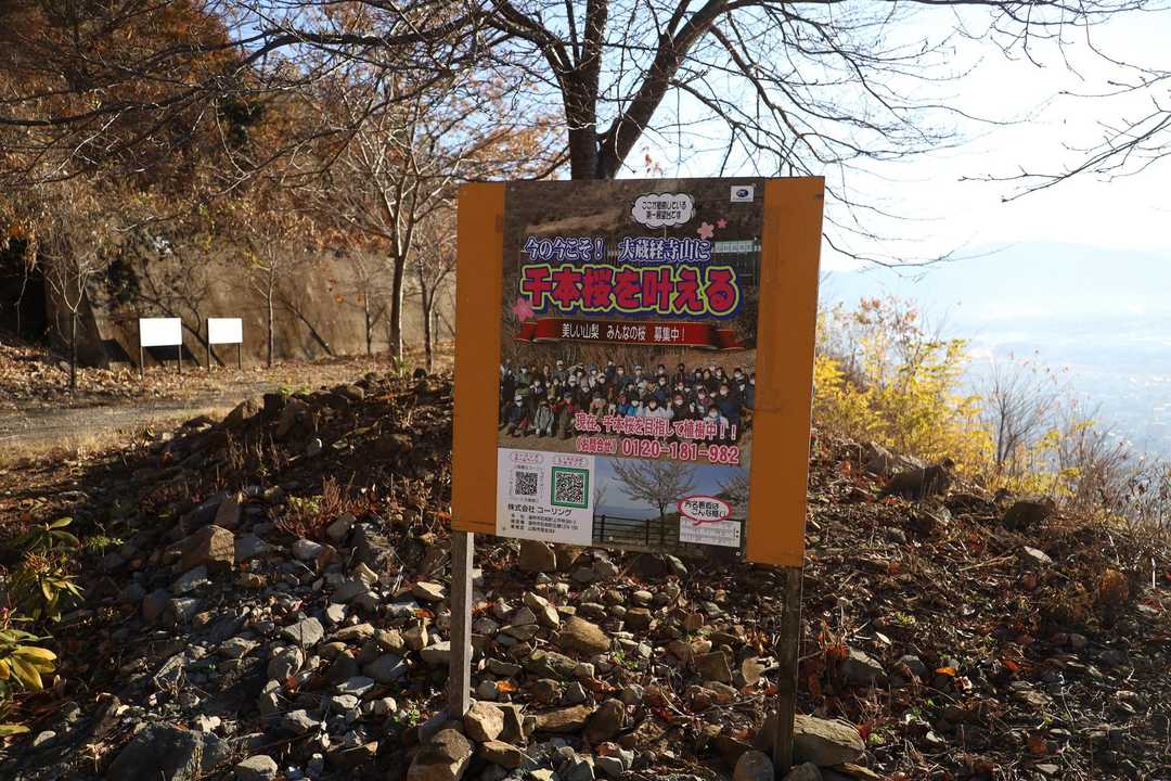 千本桜を叶える
岩殿山と双璧をなす感じにできたらいいねー