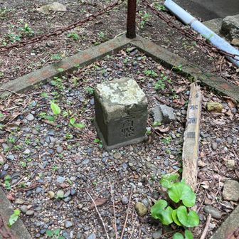 米ノ山の三角点でありおそらくここが山頂。