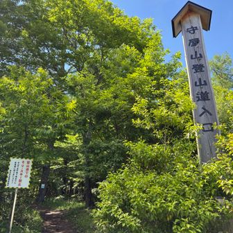 下りは写真が全然なかった！笑　ひたすら下って、ゴール！！