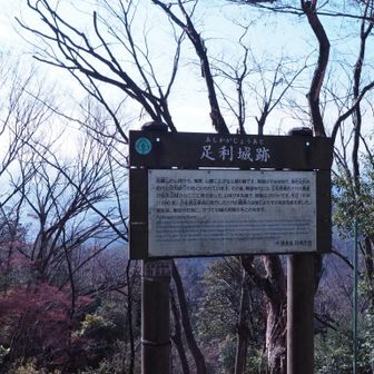 両崖山頂は足利城址でした⛰️
