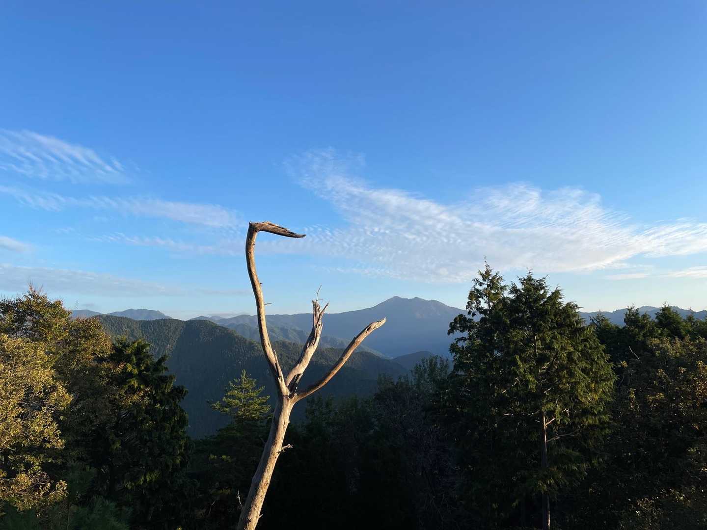 枯れ木と三室山
カッコいい✨