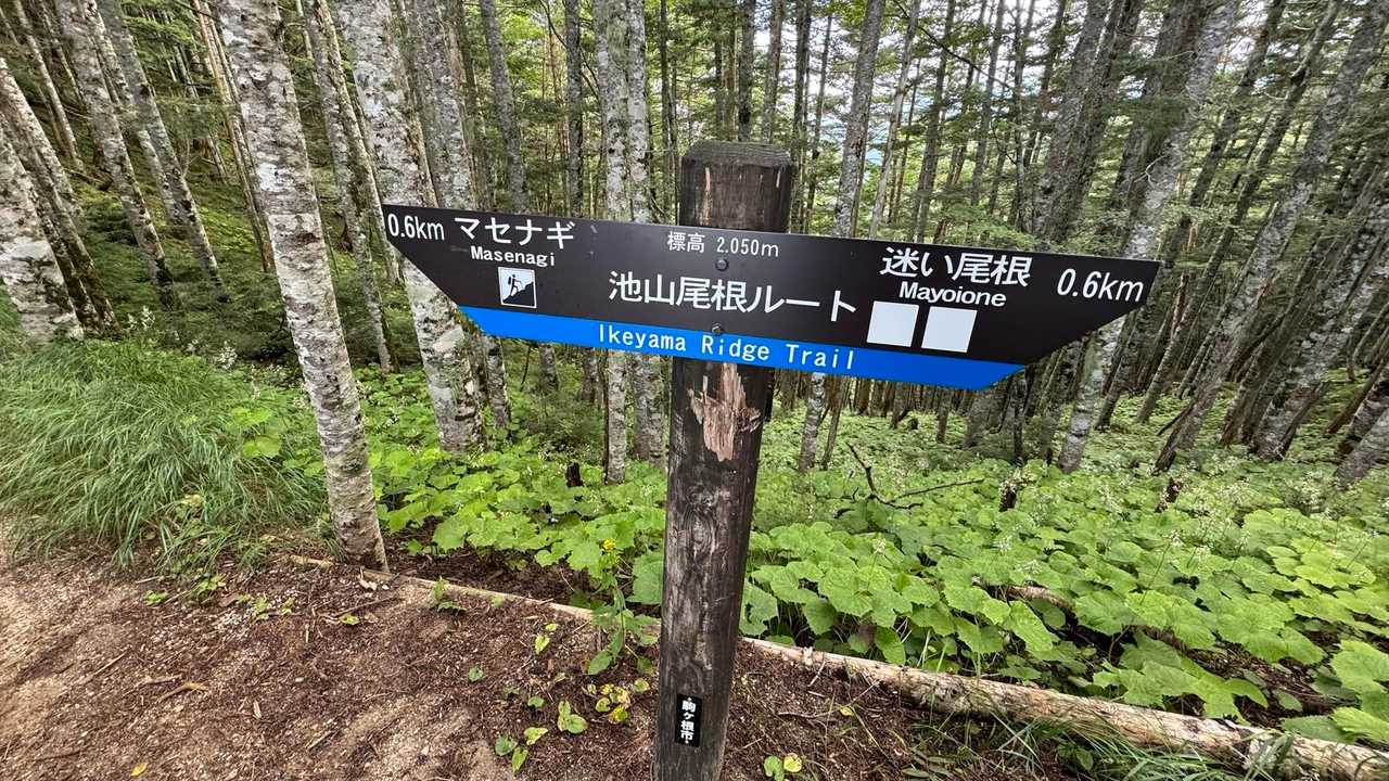 中央アルプス縦走（木曽駒ヶ岳〜空木岳） の写真 69