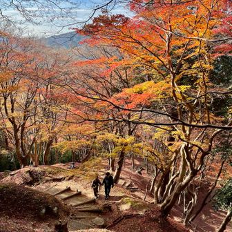 駐車場に向かうルートで下山します🚐