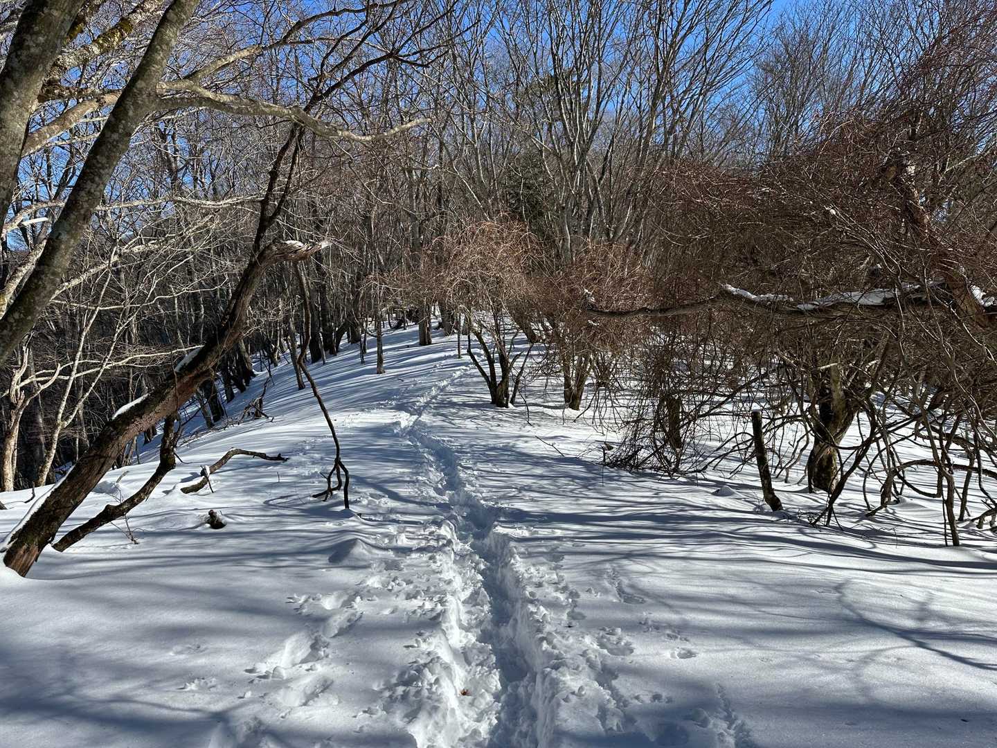 気持ちいい〜♪
楽しい〜♪スノーハイク最高🙌
こちらのコースは静かでいいです。うるさいのは私達の笑い声だけ😁