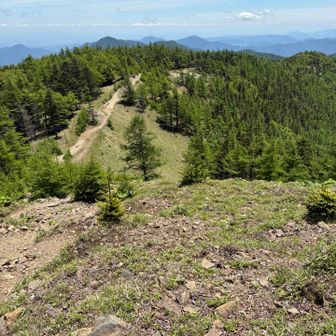 休憩。ゆっくりしたかったけど、虫がまとわりつく。居心地が悪くて補給が済んだら下山スタート。