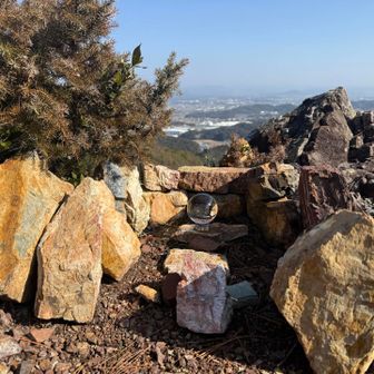                          すご〜い👏👏👏

                    まだ良いことありそう🤭
