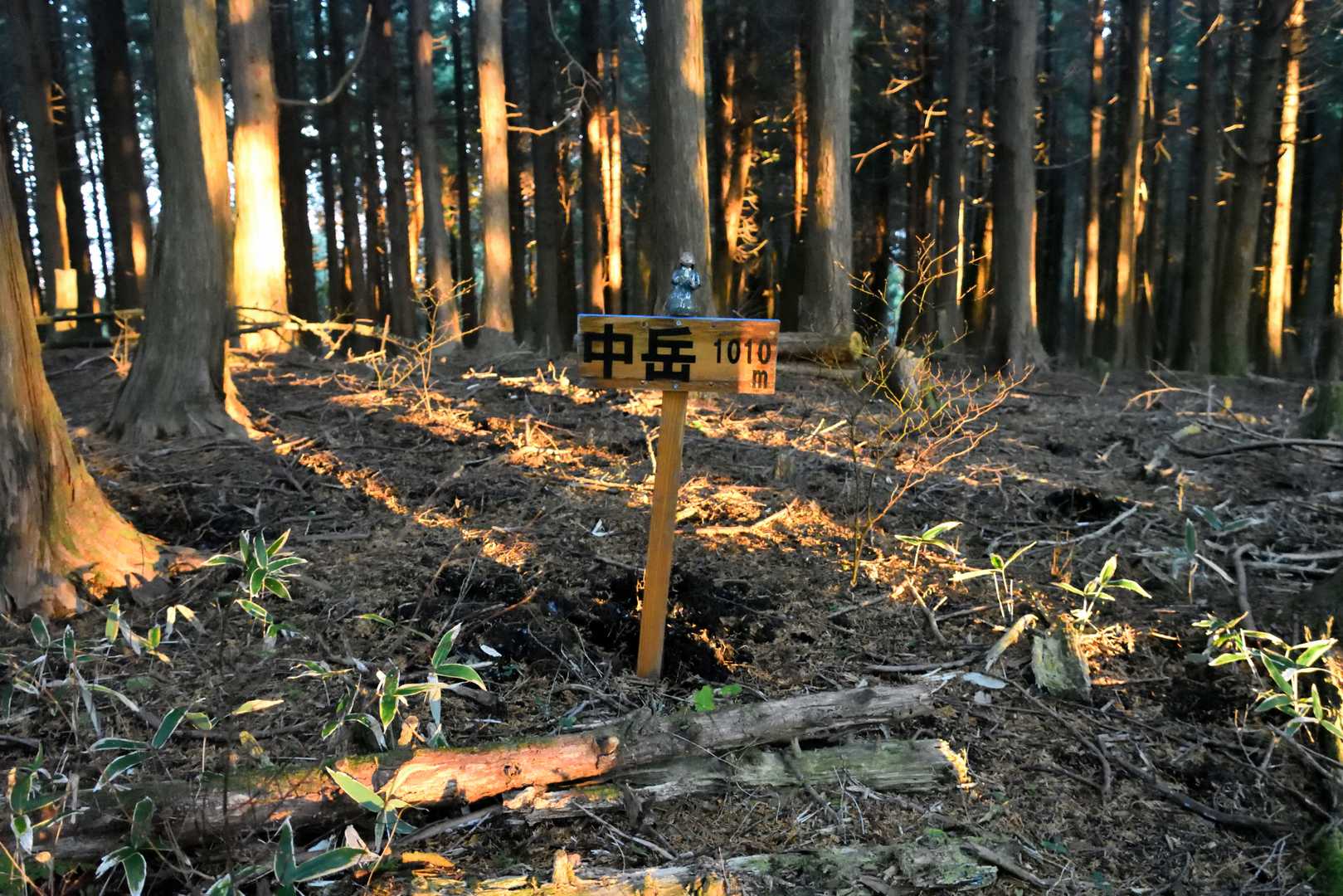 サクッと中岳