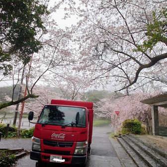 山頂の自販機に補充に行く様です