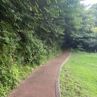 リフト🚠乗り場まで行かず右側の脇道から入ります。
