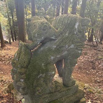 プリケツ😊　　ハムちゃん🐹みたい🩷