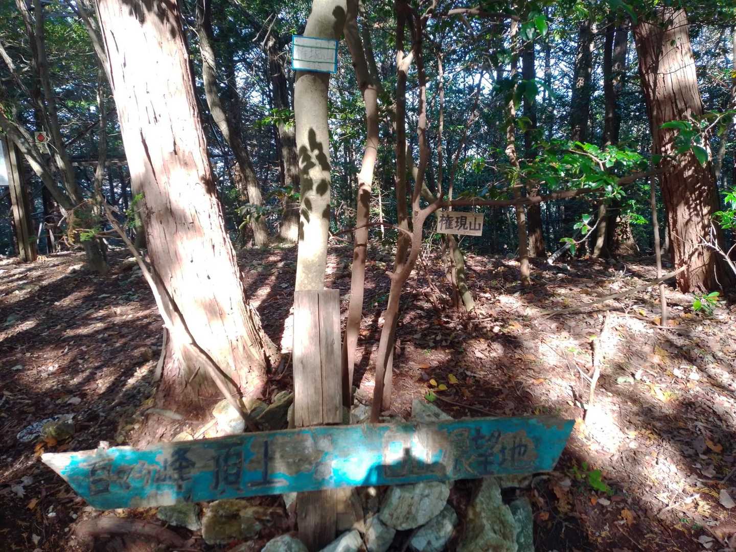 権現山！いやーここまででも軽くいい運動になるな。