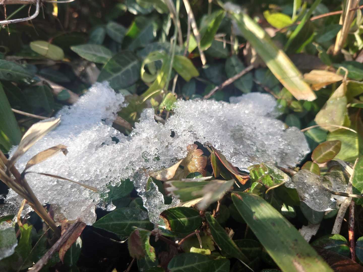 昨日の残雪❄があちらこちらでキラキラ✨