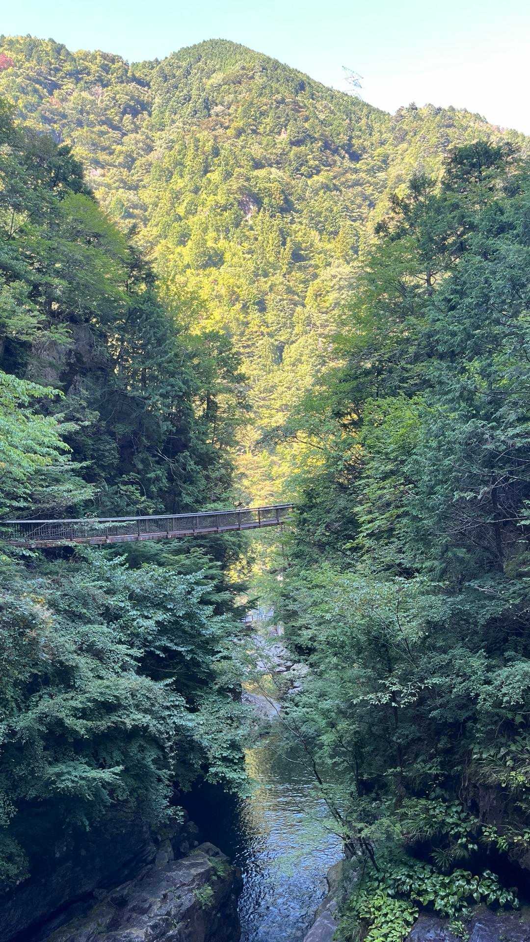 【みたらい渓谷】世界遺産の山懐を流れる滝と清流に癒されるの写真