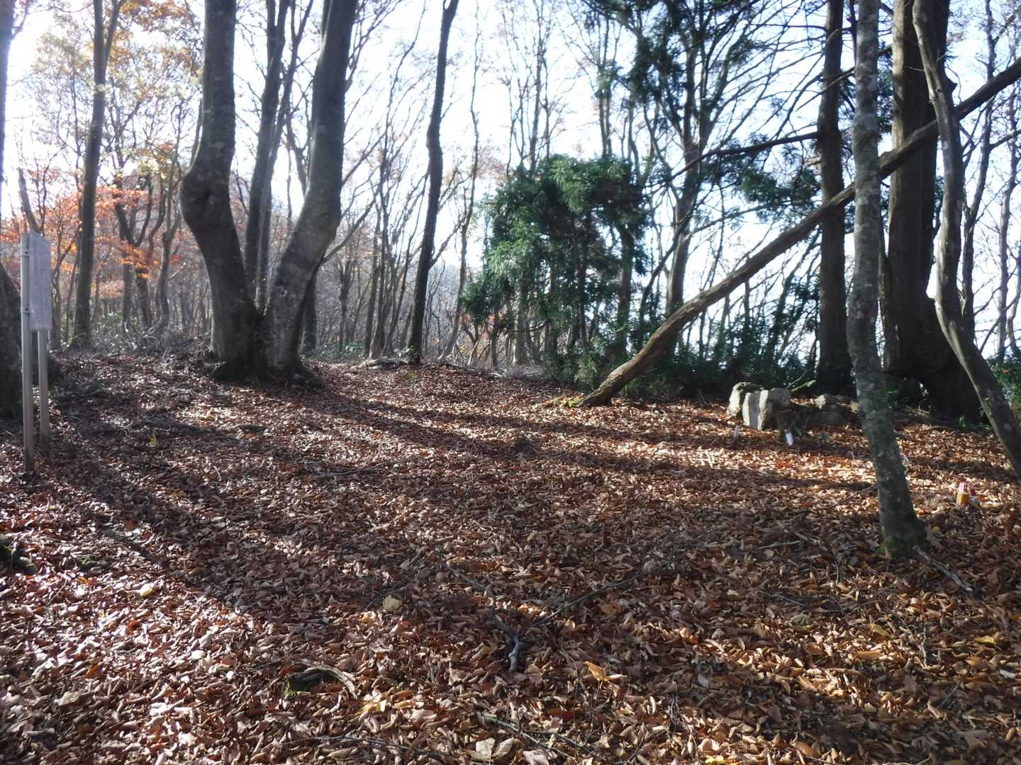 天生二年に平吹城主の佐々生光林坊という方が一揆に合いここで自刀されたそうです